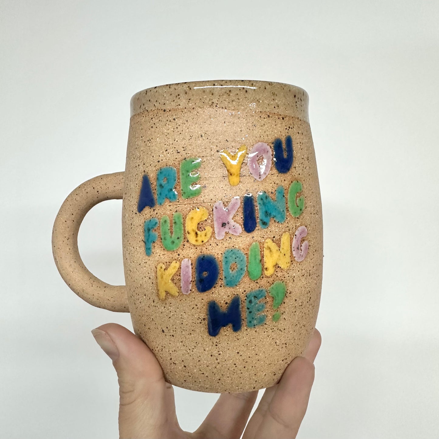 Are you F*cking Kidding Me? Mug