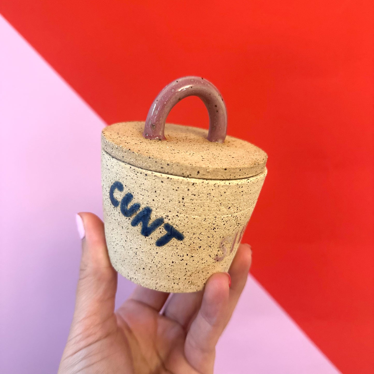 Super Sweary Stash Jar