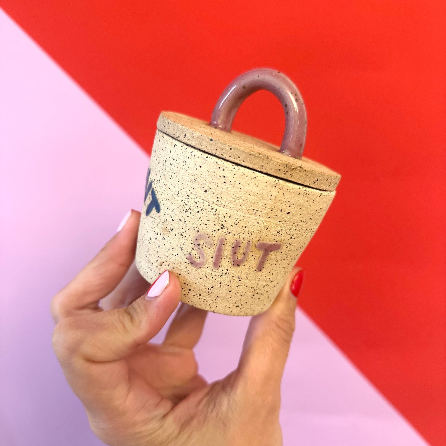 Super Sweary Stash Jar
