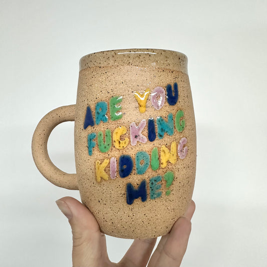 Are you F*cking Kidding Me? Mug